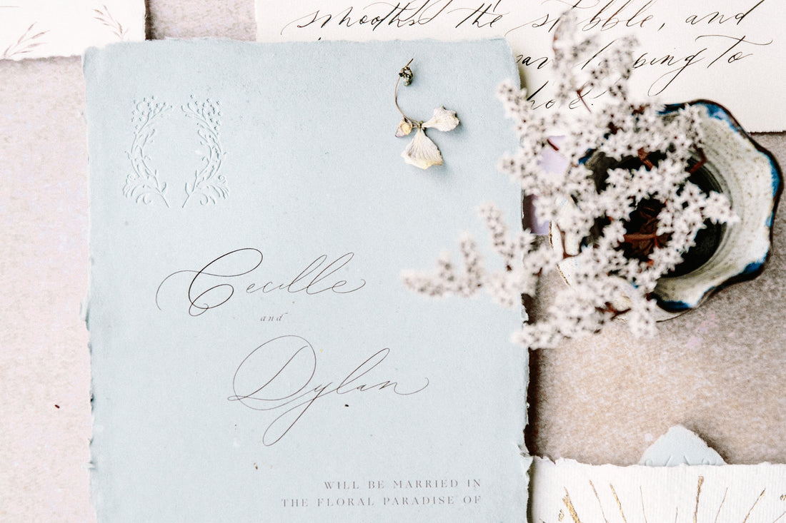 THE MANY WAYS OF PAPER - A DESIGNER SPOTLIGHT: with Laura Elizabeth Patrick, United Kingdom