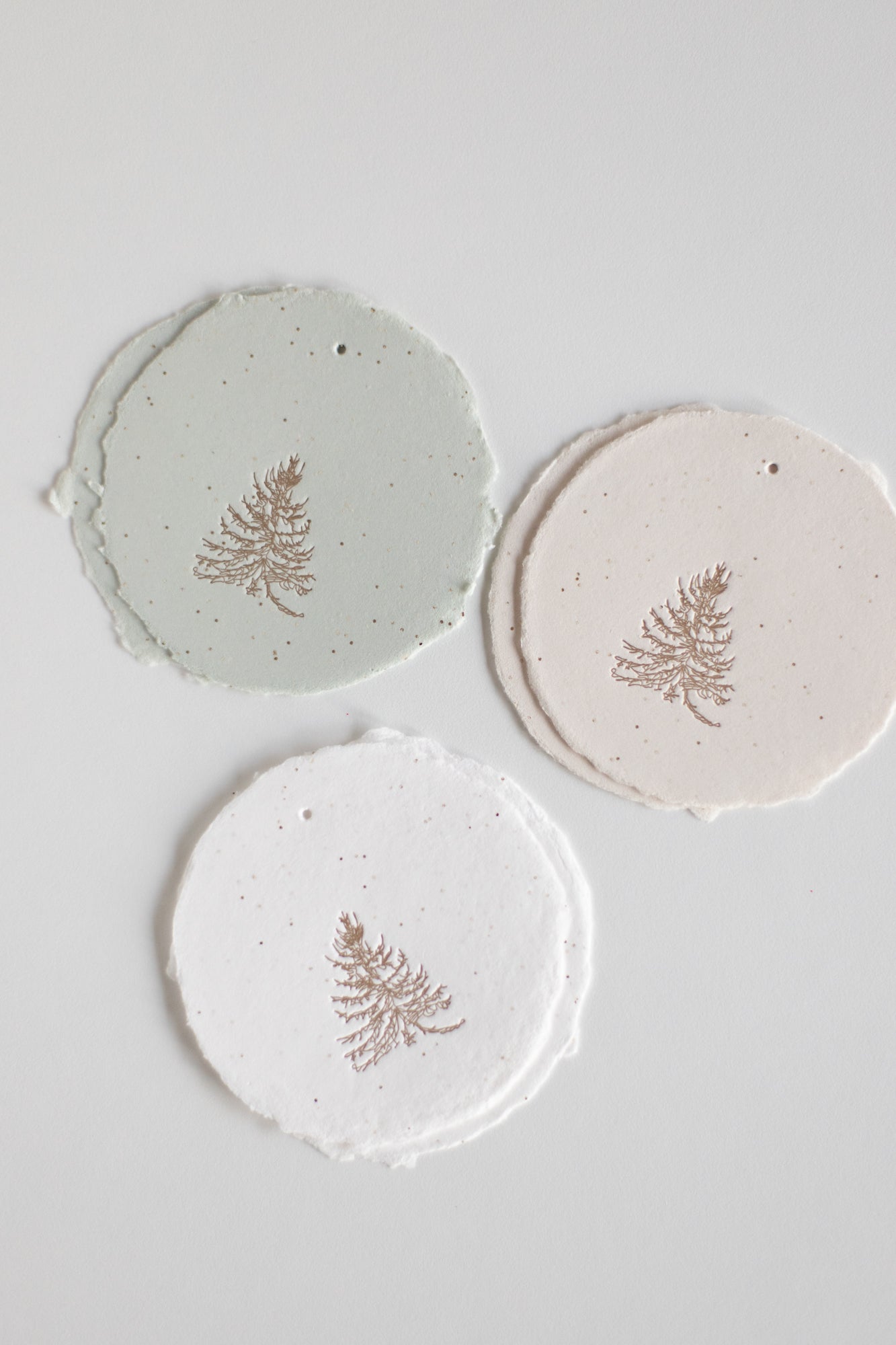 Tree / Letterpress Circle Gift Tags Set of 6